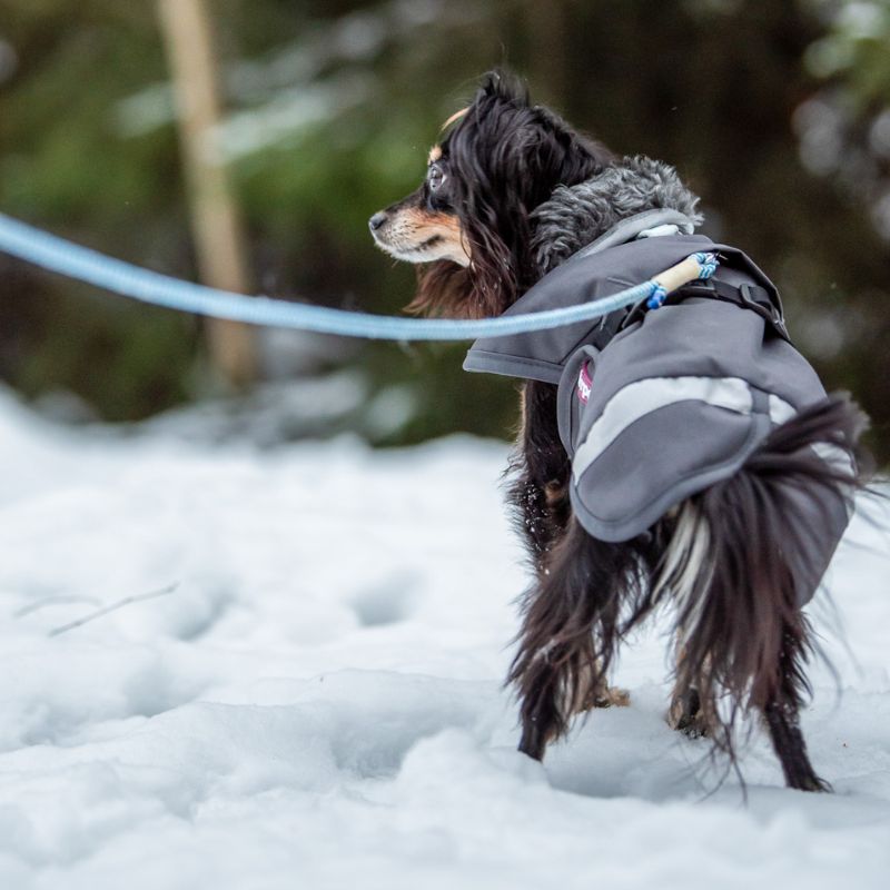 Hunde Wintermantel Perus Pomppa mit Geschirröffnung