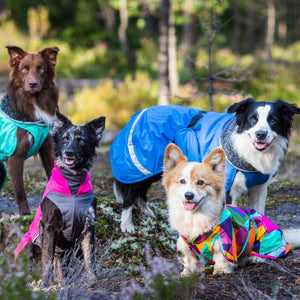 Pomppa Hundepullover Regenmantel Wintermantel