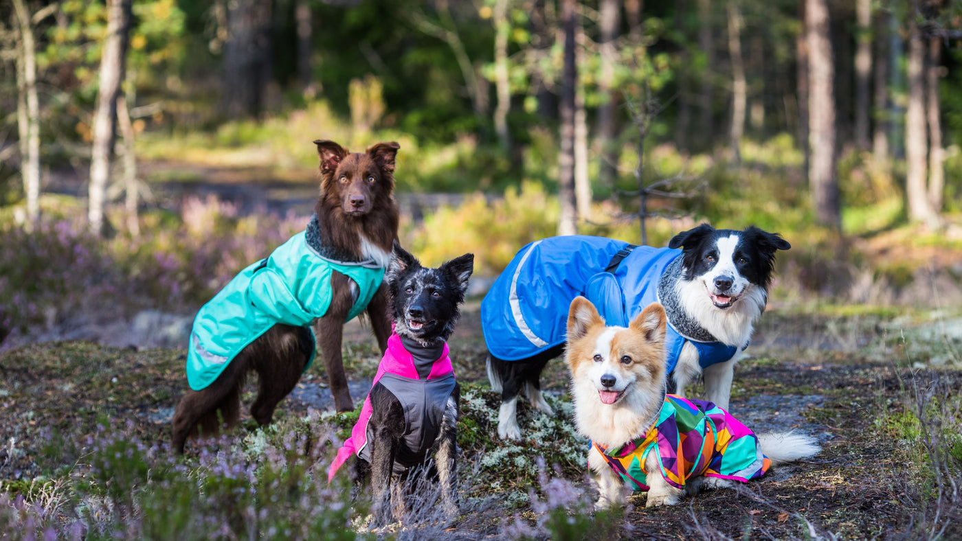 Pomppa Hundepullover Regenmantel Wintermantel