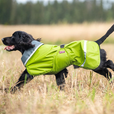 Hunde Regenmantel Sade Pomppa Lime