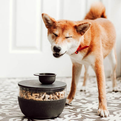 District 70 BAMBOO Treat Jar Vorratsbehälter Leckerlis Hundefutter ø 18cm