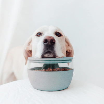 District 70 BAMBOO Treat Jar Vorratsbehälter Leckerlis Hundefutter ø 18cm