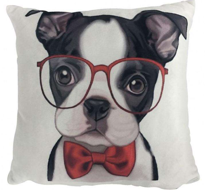 Sofakissen Motiv Französische Bulldogge.