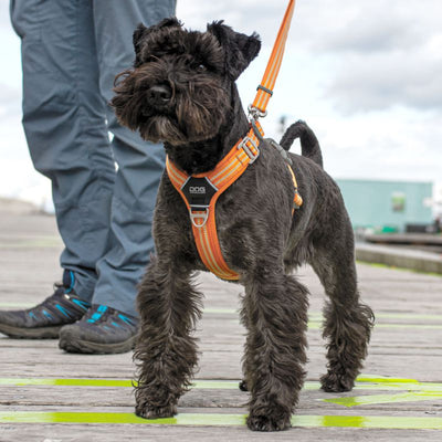 Hundegeschirr von DOG Copenhagen V2