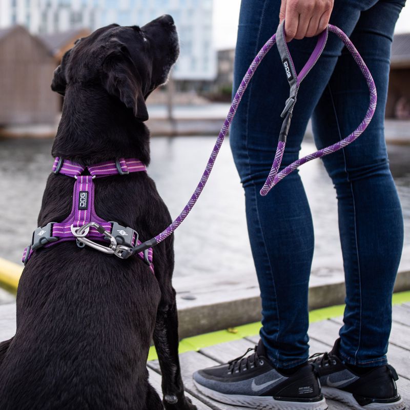 Hundegeschirr von DOG Copenhagen V2