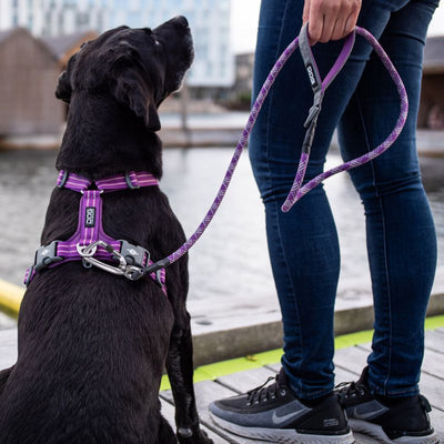 Hundegeschirr von DOG Copenhagen V2