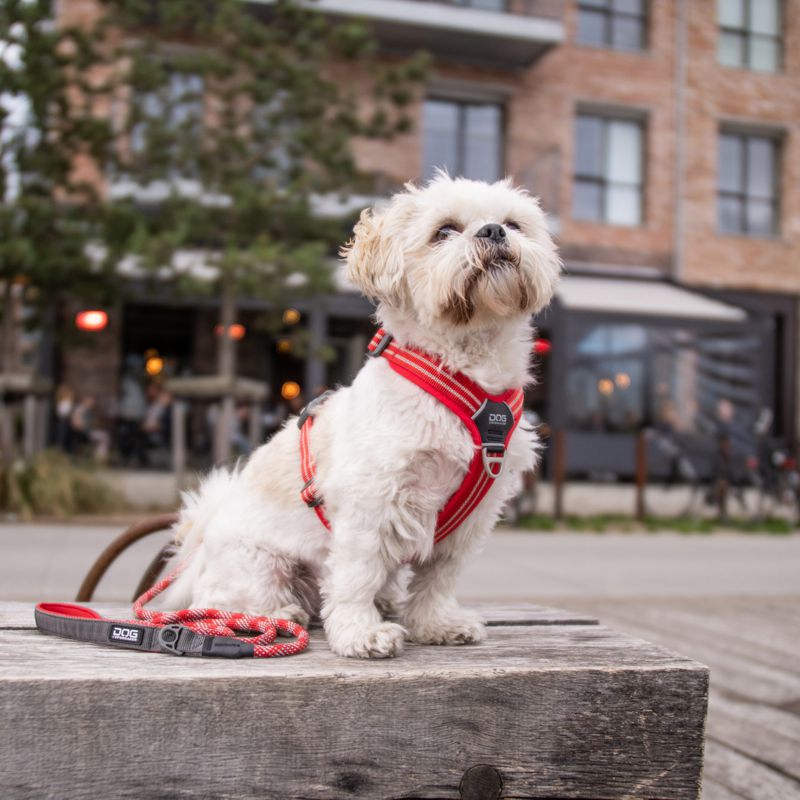Hundegeschirr von DOG Copenhagen V2
