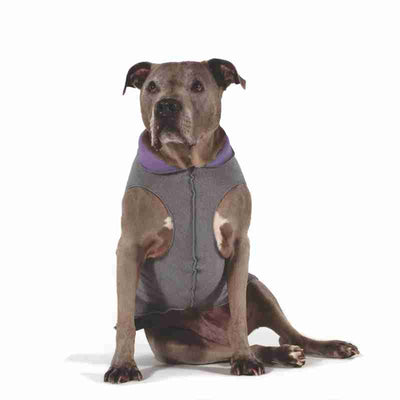 Hundepullover Goldpaw Double Fleece Grau/Lavendel