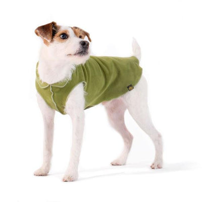 Hundepullover Goldpaw Stretch Fleece color.