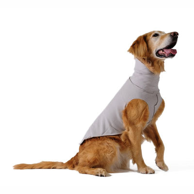 GoldPaw Hundeshirt Santa Fe.