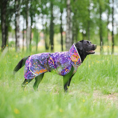 Hunde Wintermantel Perus Pomppa Cosmos