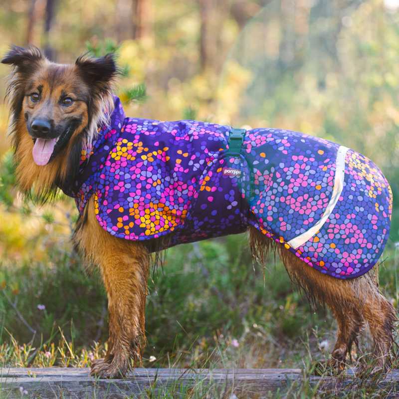 Hunde Wintermantel Toppa Pomppa Cosmos