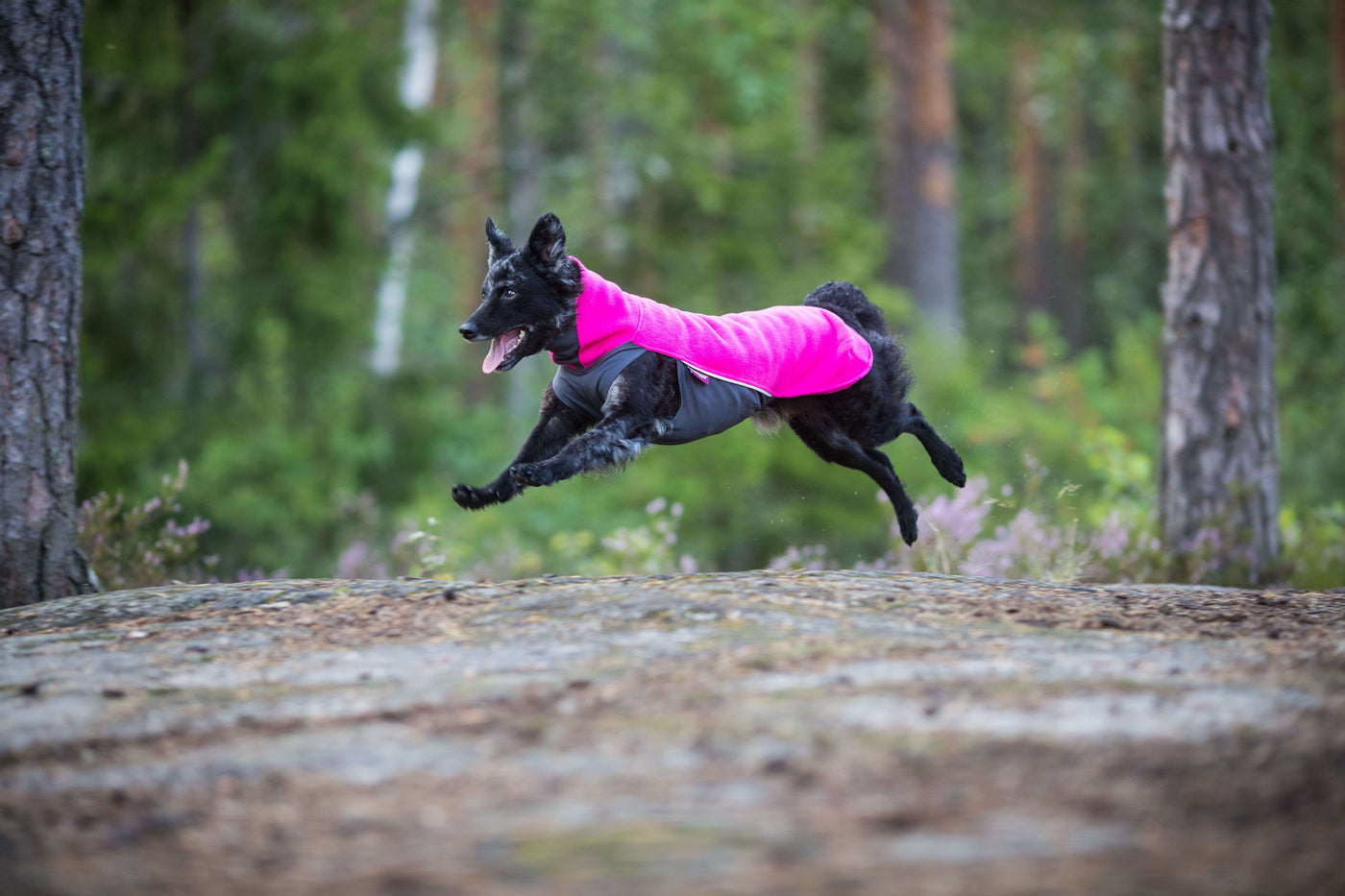 Hundepullover Jumppa Pomppa Pink.