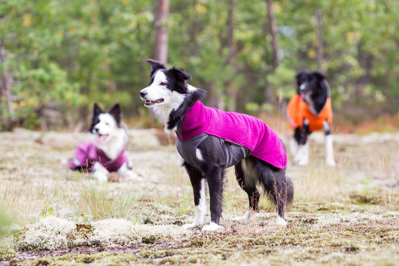 Hundepullover Jumppa Pomppa Pink.