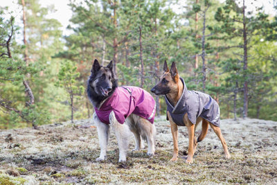 Hunde Wintermantel Perus Pomppa Kartta.