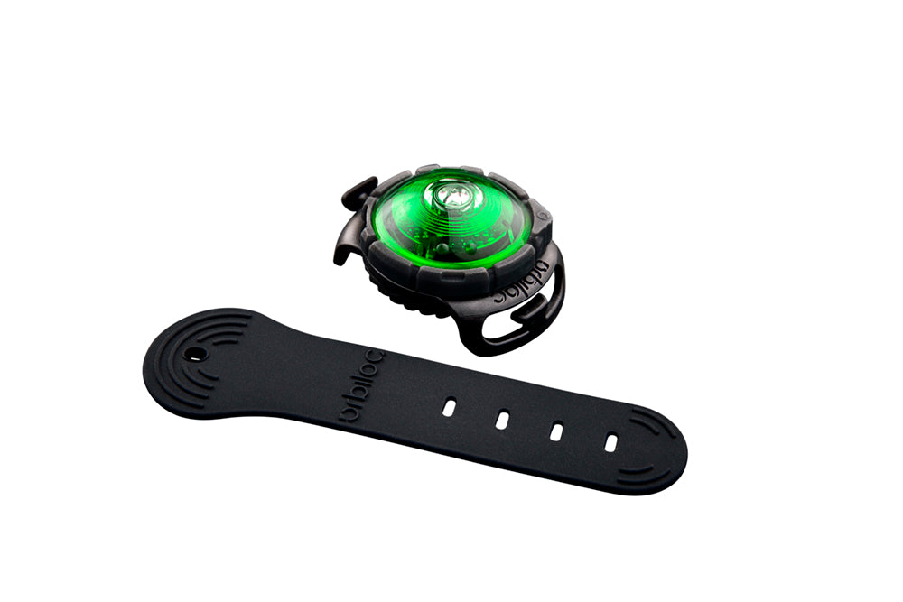 Orbiloc Dog Dual Sicherheitslicht Hundelicht.