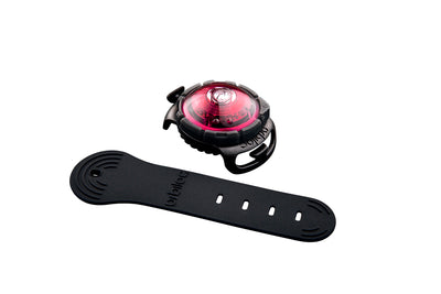 Orbiloc Dog Dual Sicherheitslicht Hundelicht.