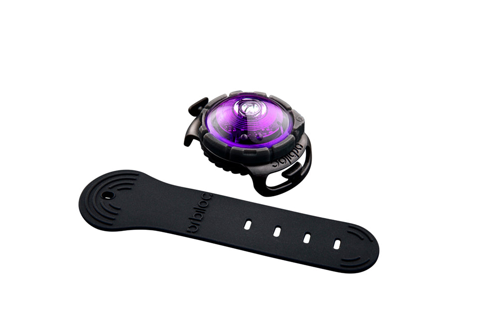 Orbiloc Dog Dual Sicherheitslicht Hundelicht.