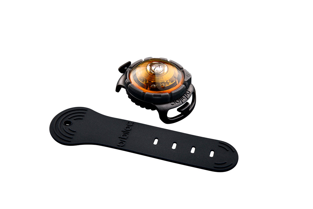 Orbiloc Dog Dual Sicherheitslicht Hundelicht.