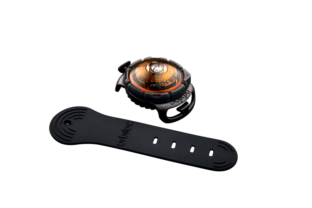 Orbiloc Dog Dual Sicherheitslicht Hundelicht.