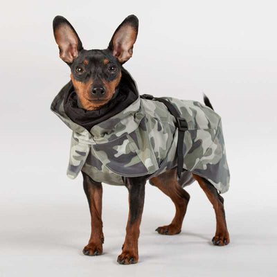 Paikka reflektierender Hunderegenmantel Camouflage