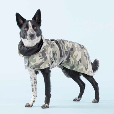 Paikka reflektierender Hunderegenmantel Camouflage