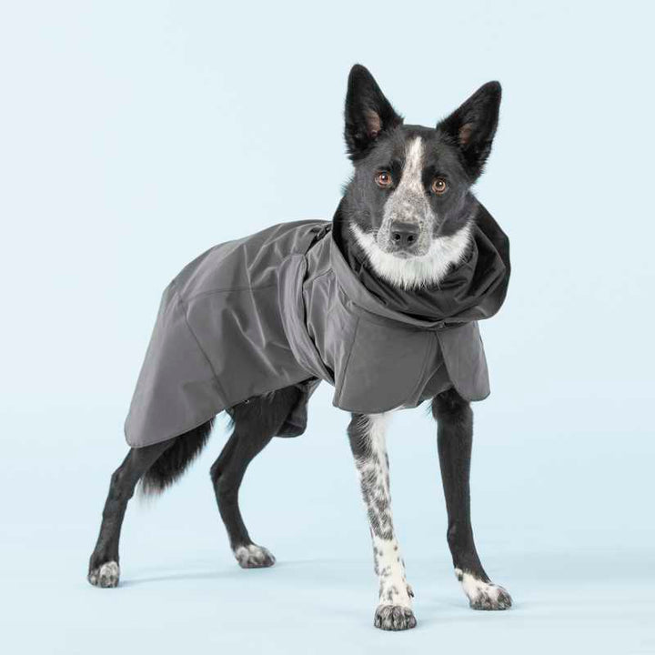 Petface Wasserdichter Hundemantel – Superweich, Reflektierend, Für Welpen & Hunde, Schwarz