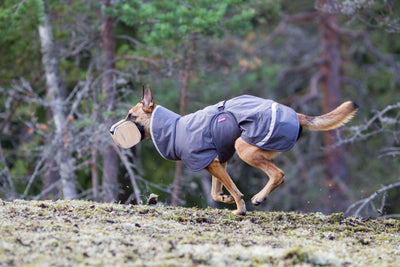 Hunde Wintermantel Perus Pomppa Graphite.