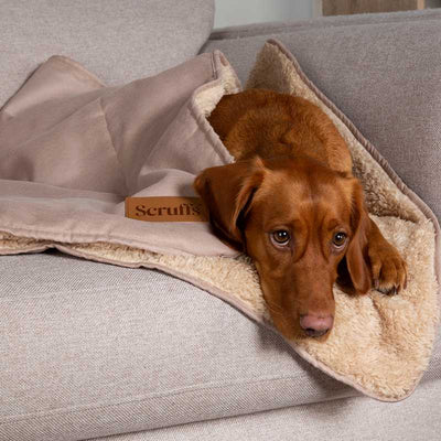 Scruffs® Cosy Hundedecke
