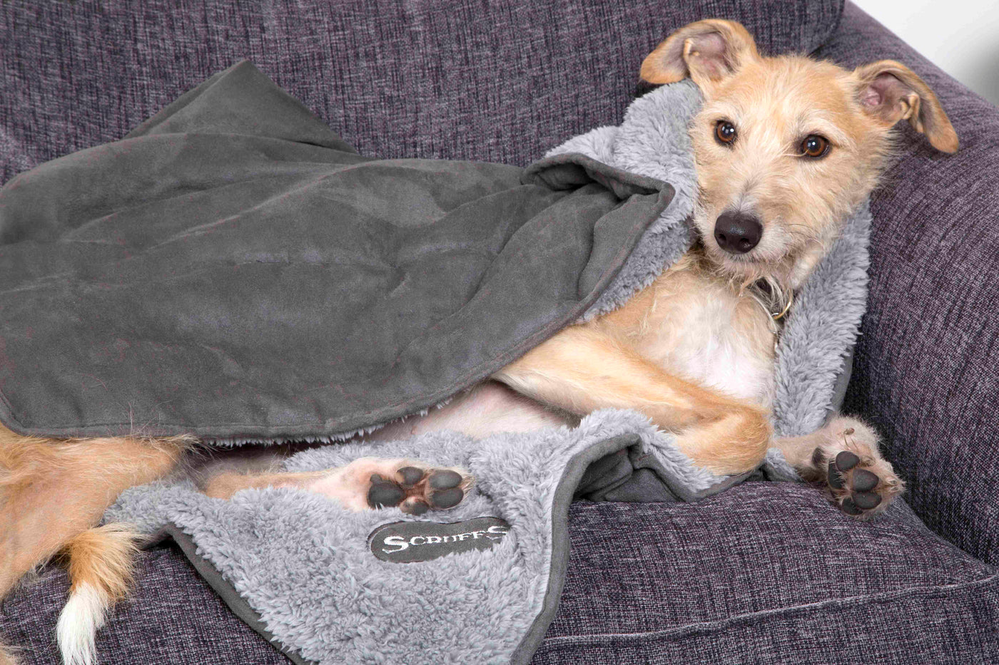 Scruffs® Cosy Hundedecke