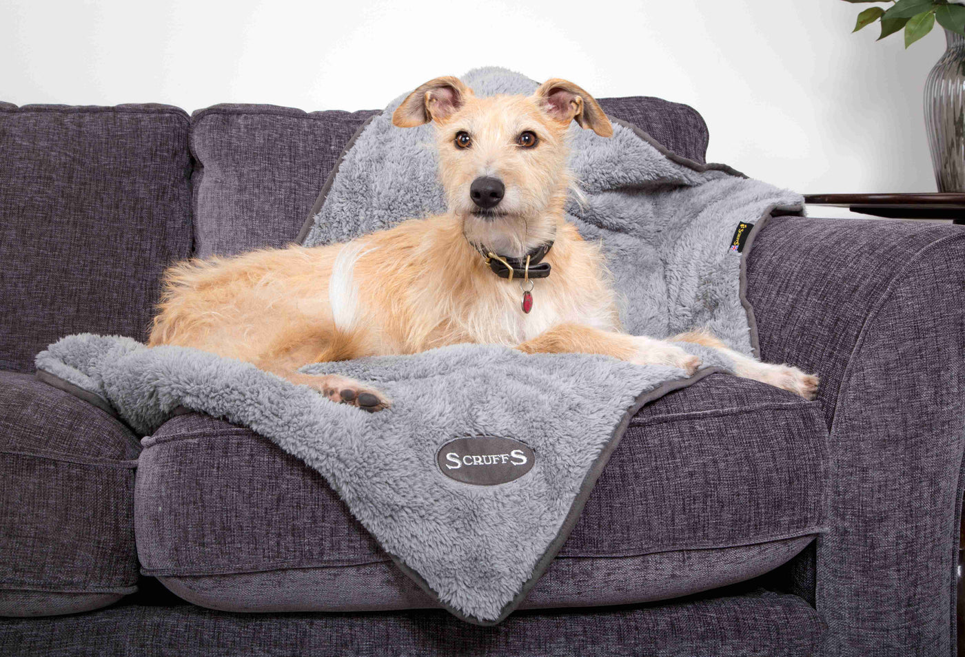 Scruffs® Cosy Hundedecke