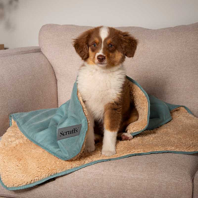 Scruffs® Cosy Hundedecke