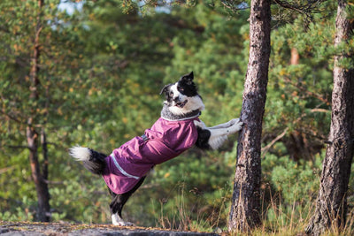 Hunde Wintermantel Toppa Pomppa Kartta.