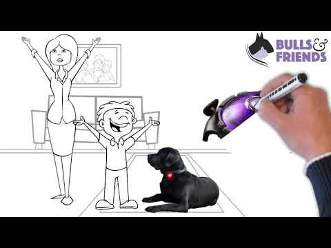 Orbiloc Dog Dual Sicherheitslicht Hundelicht