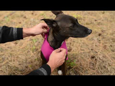 Hundepullover Goldpaw Stretch Fleece Leopard